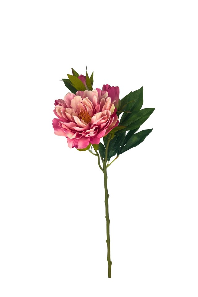 OPEN OPENS PEONY PEONIES PEONIE LARGE LARGES SMALL SMALLS HEAD HEADS 115CM 115CMS ARTIFICIAL ARTIFICIALS FLOWERS FLOWER ROSE ROSES SPRAY SPRAYS SPRAIE STEM STEMS