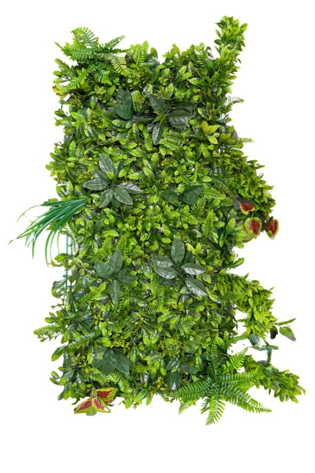 GGREENERY GGREENERIES GGREENERIE ARTIFICIAL ARTIFICIALS FLOWER FLOWERS PANEL PANELS WALL WALLS FLOWER PANEL FLOWER PANELS FLOWER WALL FLOWER WALLS GREEN GREENS LEAF LEAFS LEAVES LEAFE LEAVE GREENERY GREENERIES GREENERIE FERN FERNS BUDGET BUDGETS