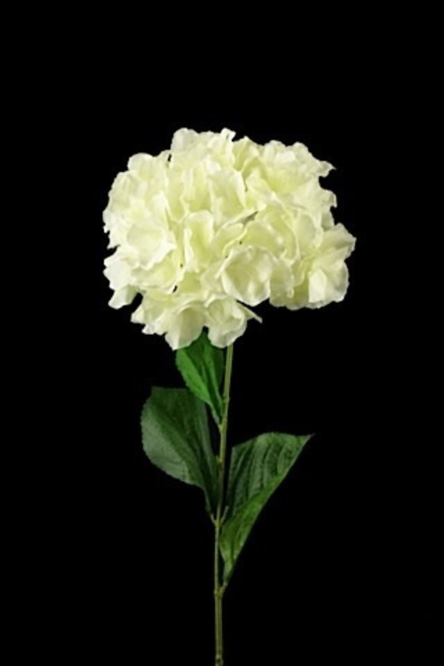 HYDRANGEA HYDRANGEAS FLOWER FLOWERS 92CM 92CMS ARTIFICIAL ARTIFICIALS D PRINTED PRINTEDS